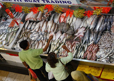 Fish Shop